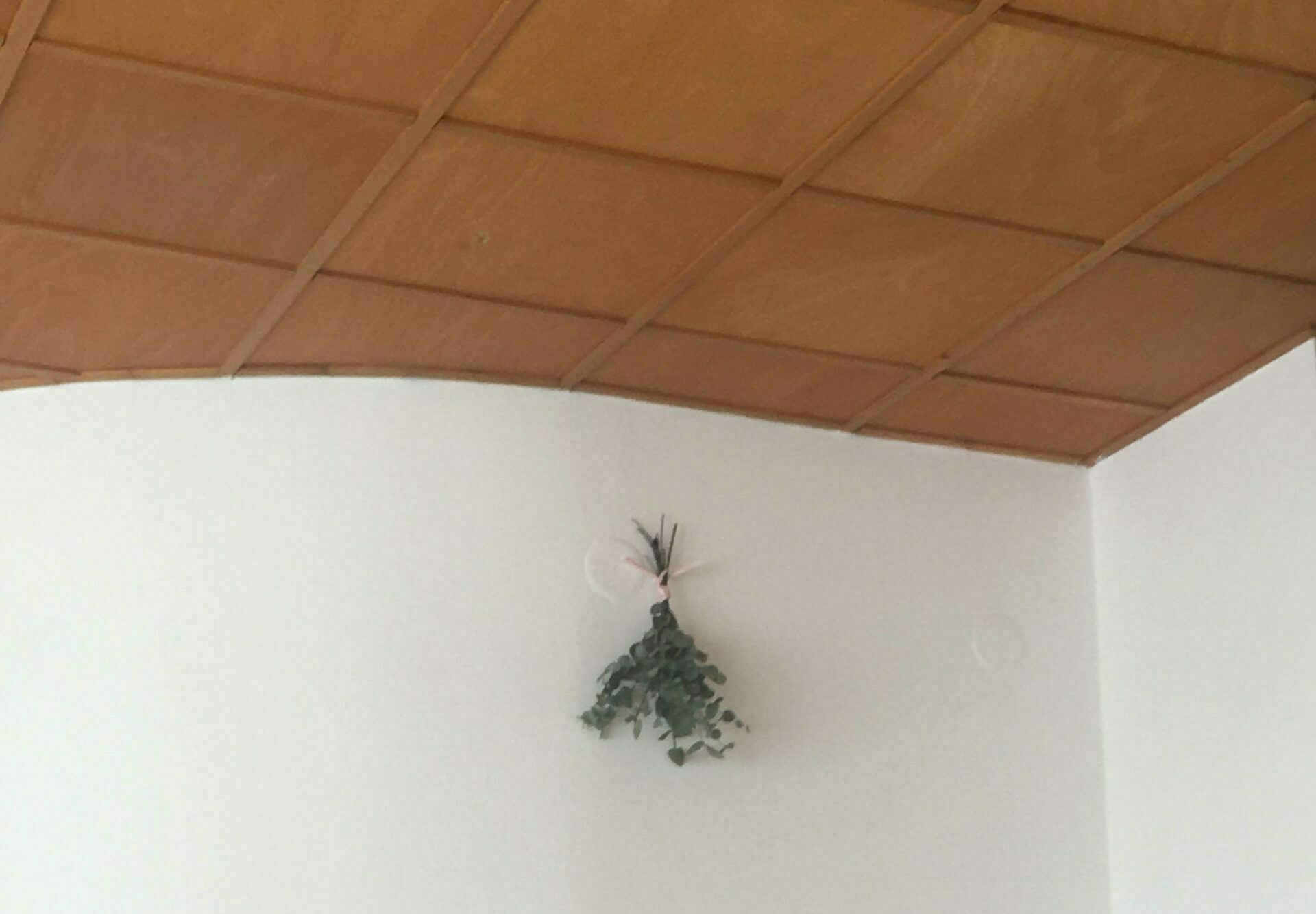 Príbeh nekončí (těhotenství a mateřství)